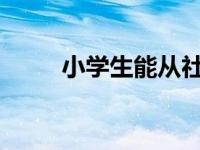 小学生能从社交机器人学习中受益