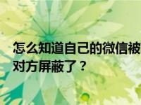 怎么知道自己的微信被对方屏蔽了？怎么知道自己的微信被对方屏蔽了？