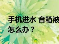 手机进水 音箱被撕了怎么办？手机音箱进水怎么办？