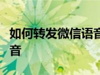 如何转发微信语音并改成文字如何转发微信语音