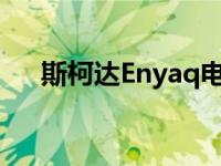 斯柯达Enyaq电动SUV螺旋穿骗人迷彩