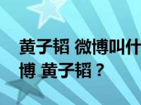 黄子韬 微博叫什么名字？为什么我找不到微博 黄子韬？