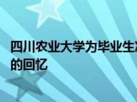 四川农业大学为毕业生准备了烧烤夜市 主题是留下四川农民的回忆