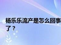 杨乐乐流产是怎么回事？杨乐乐和汪涵里面的孩子现在多大了？