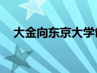 大金向东京大学创业公司投资140万美元