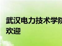 武汉电力技术学院毕业的学生也很受国家电网欢迎