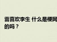 雷喜欢李生 什么是梗网？雷和李生真的是因为这部剧而相爱的吗？