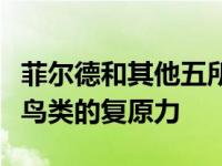 菲尔德和其他五所大学的同事研究了四种濒危鸟类的复原力