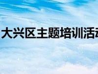 大兴区主题培训活动在北京小学大兴分校举行