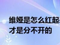 维娅是怎么红起来的？Viya的人气和她的口才是分不开的