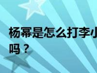 杨幂是怎么打李小璐的？李小璐和杨幂长得像吗？