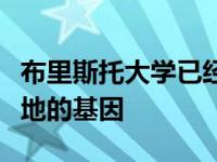 布里斯托大学已经确定了让植物发芽并征服土地的基因