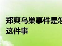 郑爽鸟巢事件是怎么回事？郑爽曾经被问到过这件事