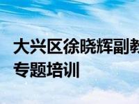 大兴区徐晓辉副教授进行核心经验与数学教育专题培训