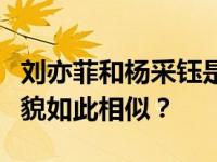 刘亦菲和杨采钰是什么关系？为什么他们的外貌如此相似？