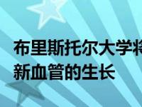 布里斯托尔大学将研究一种新疗法来刺激心脏新血管的生长