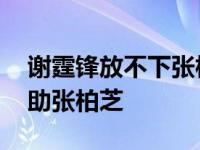 谢霆锋放不下张柏芝的梗 谢霆锋仍在秘密帮助张柏芝