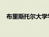 布里斯托尔大学学者组织的免费家庭活动