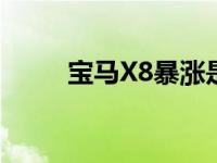 宝马X8暴涨是因为7座SUV不够用