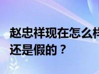 赵忠祥现在怎么样了？赵忠祥的黑料都是真的还是假的？