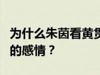 为什么朱茵看黄贯中的节目来表达他对黄贯中的感情？