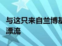 与这只来自兰博基尼的橙色尼桑西尔维亚一起漂流