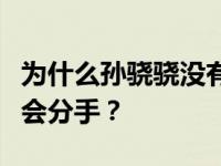 为什么孙骁骁没有生气？孙骁骁和李湘为什么会分手？