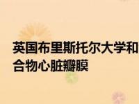 英国布里斯托尔大学和剑桥大学的科学家开发出一种新型聚合物心脏瓣膜