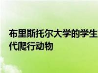 布里斯托尔大学的学生将南威尔士的化石鉴定为一种新的古代爬行动物