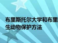 布里斯托尔大学和布里斯托尔动物学会正在创造一种新的野生动物保护方法