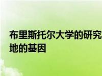 布里斯托尔大学的研究人员发现了使植物长出新芽并征服土地的基因