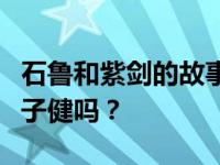 石鲁和紫剑的故事是怎样的？施带的孩子是陆子健吗？