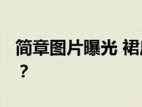 简章图片曝光 裙底春意盎然 她真的没找到吗？