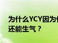 为什么YCY因为什么火 没有能力吐槽的时候还能生气？