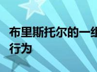 布里斯托尔的一组研究人员观察了蚂蚁的探索行为