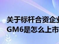 关于标杆合资企业传祺GM6的上市 说说传祺GM6是怎么上市的？