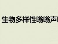 生物多样性嗡嗡声哪种昆虫是最好的授粉者？