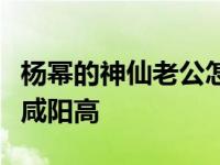 杨幂的神仙老公怎么了？神仙信息曝光职业比咸阳高