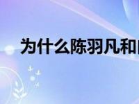 为什么陈羽凡和白百何离婚后还会示爱？