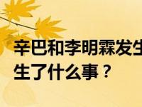 辛巴和李明霖发生了什么事？李明霖和辛巴发生了什么事？