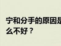 宁和分手的原因是什么？许馨文太物质化有什么不好？