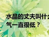 水晶的丈夫叫什么名字？为什么Crystal的人气一直很低？