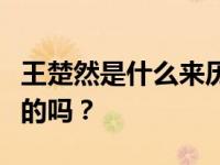 王楚然是什么来历？王楚然有很多黑历史是真的吗？