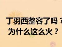 丁羽西整容了吗？丁羽西的艺人是哪个公司的 为什么这么火？