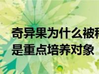 奇异果为什么被称为沈曾的C出道？现在他也是重点培养对象