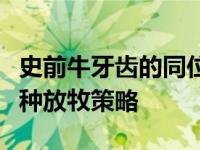 史前牛牙齿的同位素表明新石器时代使用了各种放牧策略