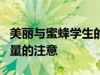 美丽与蜜蜂学生的任务是吸引人们对授粉者力量的注意