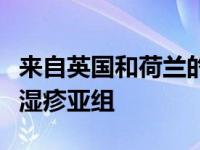 来自英国和荷兰的研究人员确定了五种不同的湿疹亚组