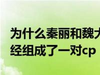 为什么秦丽和魏大勋后来没有在一起？他们曾经组成了一对cp