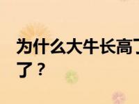 为什么大牛长高了 受了魔法加持 却还是长残了？